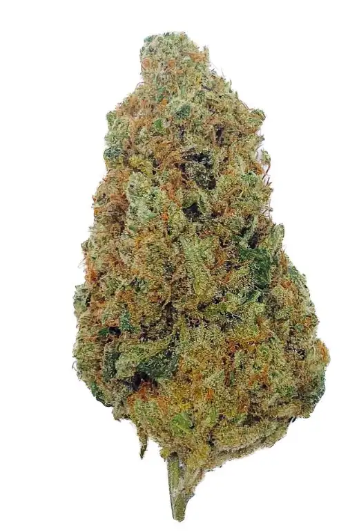White Widow
